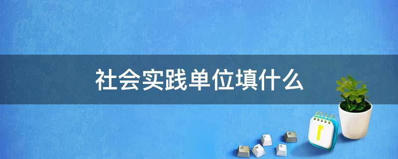 社会实践单位填什么 社会实践单位怎么填