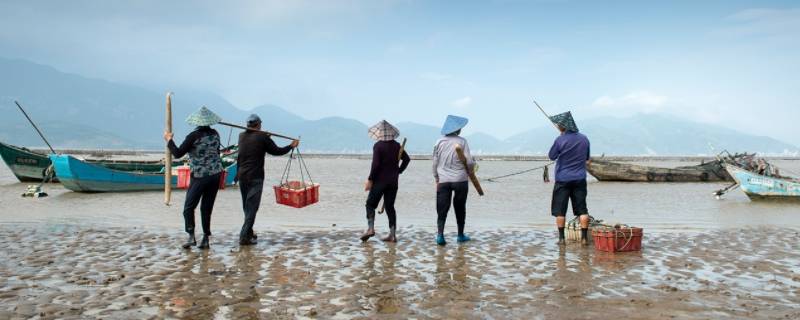 中潮和小潮不适合赶海吗（赶海大潮和中潮能差多少）