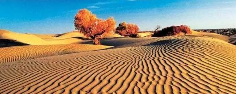 塔克拉玛干沙漠成因 塔克拉玛干沙漠形成的主要因素