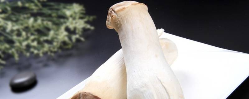 长长的蘑菇是什么菇（长长的蘑菇是什么菇黑色）