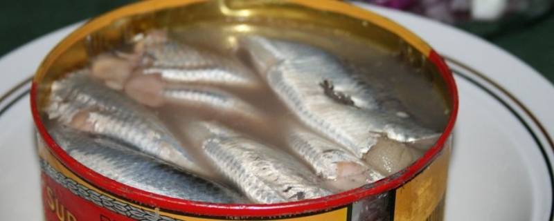 鲱鱼罐头是什么味道 鲱鱼罐头的味道