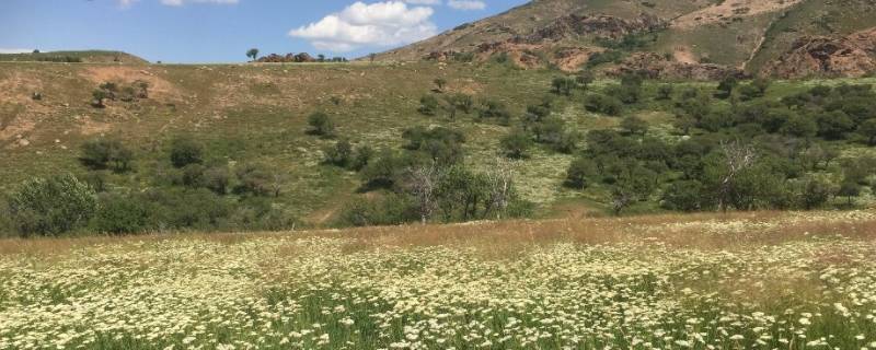 额敏县景点 额敏县旅游攻略