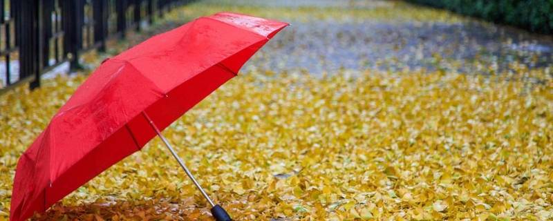 普通雨伞可以遮阳吗（雨伞可以遮阳光吗）