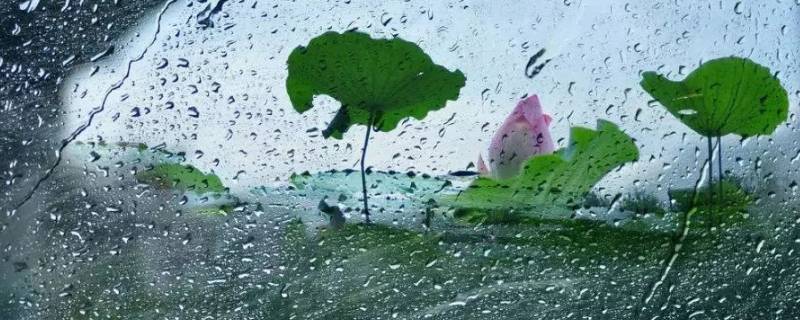 描写雨大的成语 描写雨很大的成语有哪些