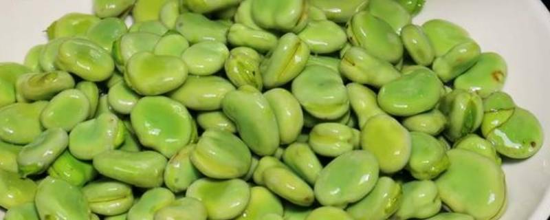 青蚕豆怎么保存才新鲜（青蚕豆放冰箱怎么保存）
