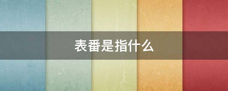 表番是指什么（表番的意思）
