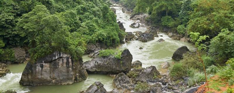 那坡县景点（那坡县风景区）