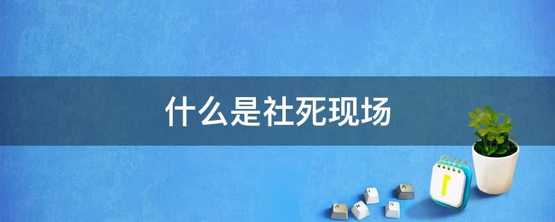 什么是社死现场（社死现场吗）