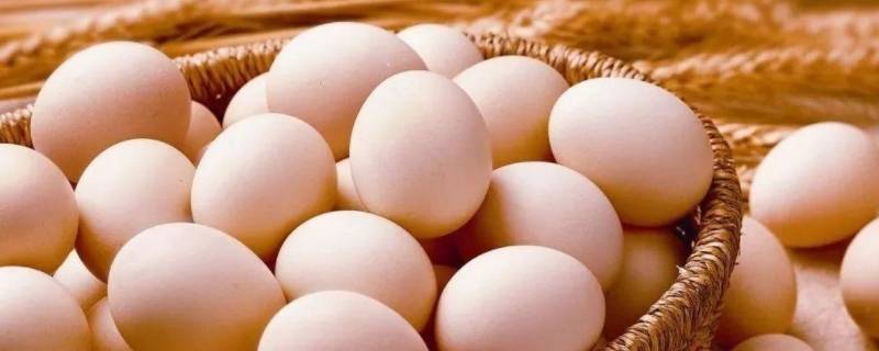 鸡蛋室温下可以放多久 鸡蛋室温下可以放多久冬季