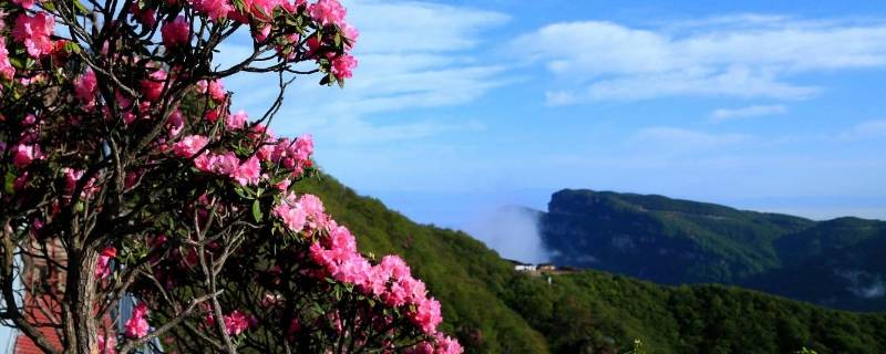 宾县景点（宾县景点携程网）