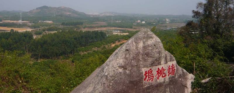 漳浦县景点（漳浦县景点有哪些）