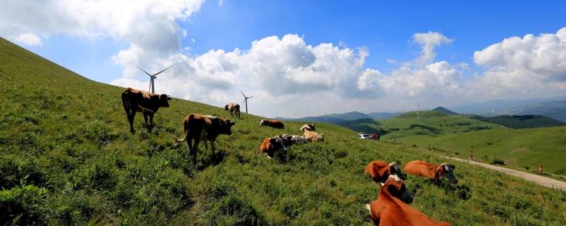 沁源县景点 沁源县旅游景点