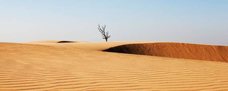 世界上有哪些沙漠 世界上有哪些沙漠最大的沙漠是哪个