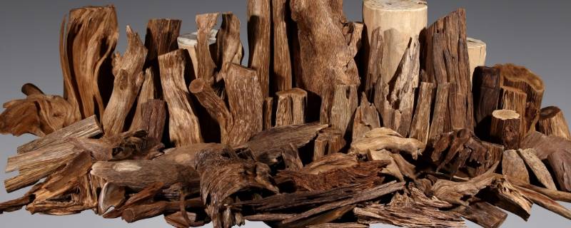 沉香是什么木材形成的 沉香木是什么木材
