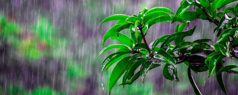 杭州梅雨季节是几月份到几月份结束（2021年杭州梅雨季节什么时候开始和结束）