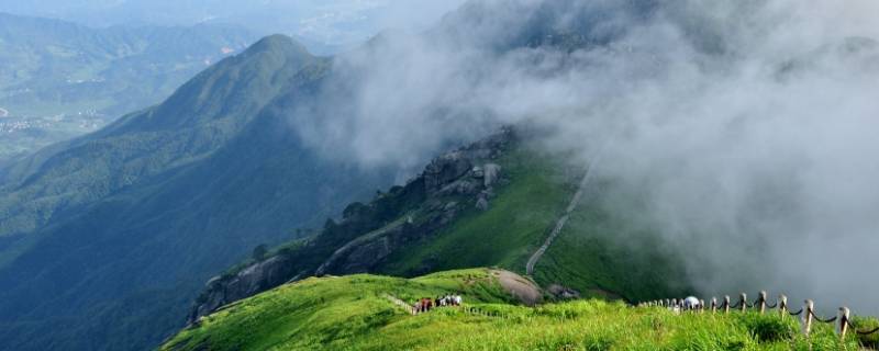 巍山景点（巍山景点介绍）