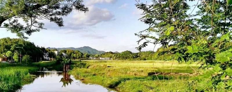 君山区景点（君山区旅游）