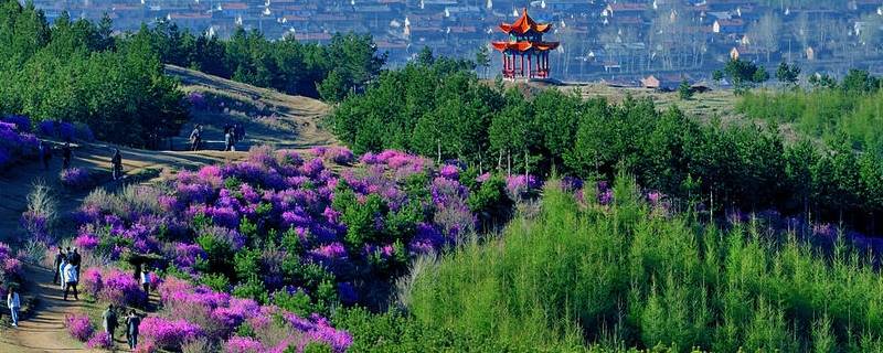 四方台区景点 四方台旅游
