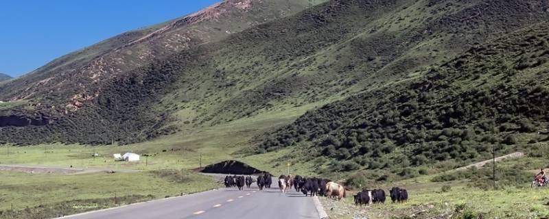 班玛县景点（班玛县旅游景点）