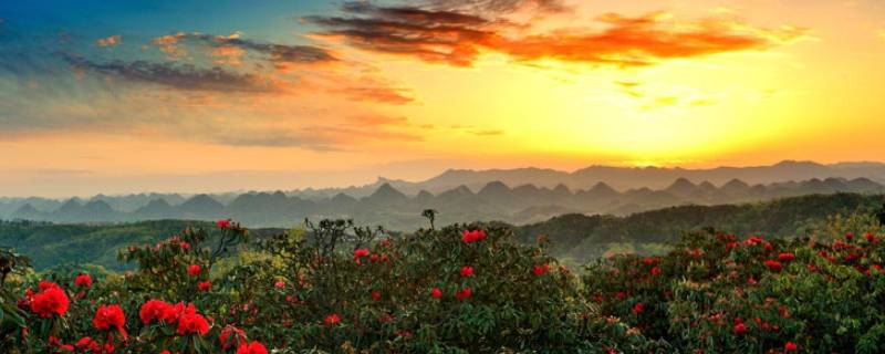 大方县景点 大方县景点排名