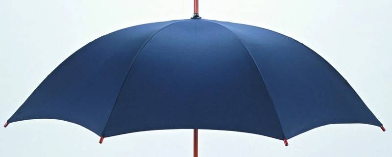 雨伞结构 雨伞结构图