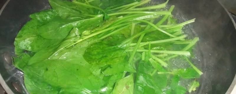 哪些蔬菜不需要焯水 哪些蔬菜不需要焯水直接吃