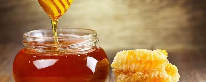 蜂蜜怎么制作出来的 蜂蜜如何制作出来的