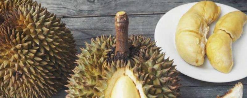 榴莲到底是什么味道（榴莲是什么味道的是什么样子的）