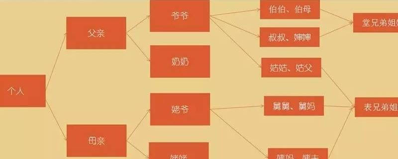 表和堂有什么区别 表和堂有什么区别百度百科