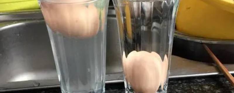 生鸡蛋怎么在水里浮起来 生鸡蛋怎么在水里浮起来的作文200