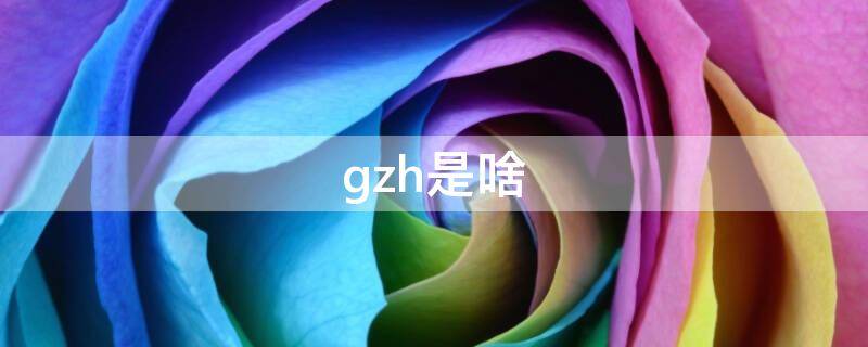 gzh是啥（gzh是什么名字）