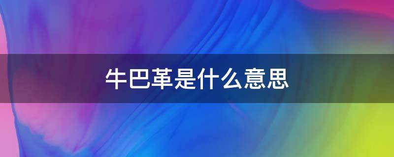 牛巴革是什么意思 牛巴革材料是什么意思