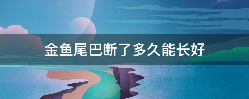 金鱼尾巴断了多久能长好 小金鱼尾巴断了还能长吗