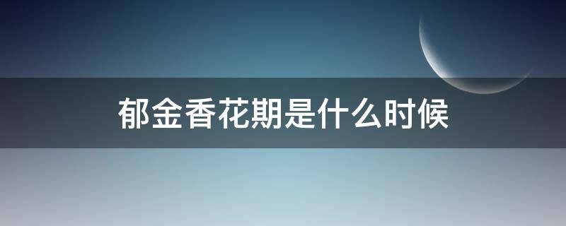 郁金香花期是什么时候 郁金香花期是多长时间