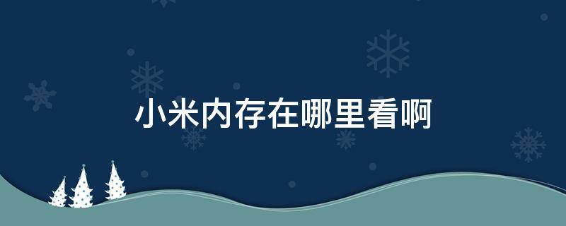 小米内存在哪里看啊（小米的内存哪里看）