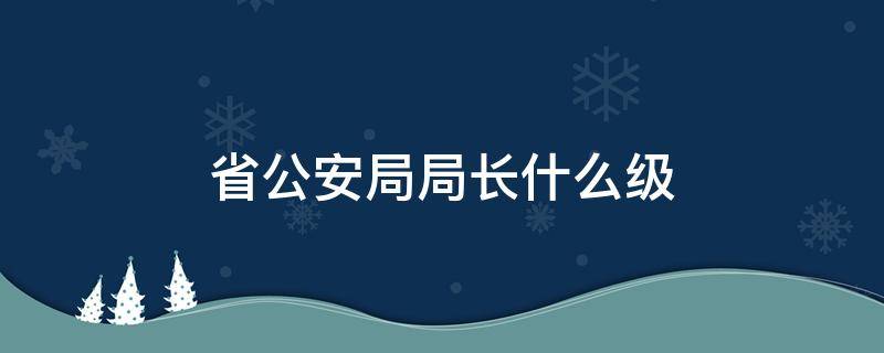 省公安局局长什么级 省公安厅长是什么级和公安局局长