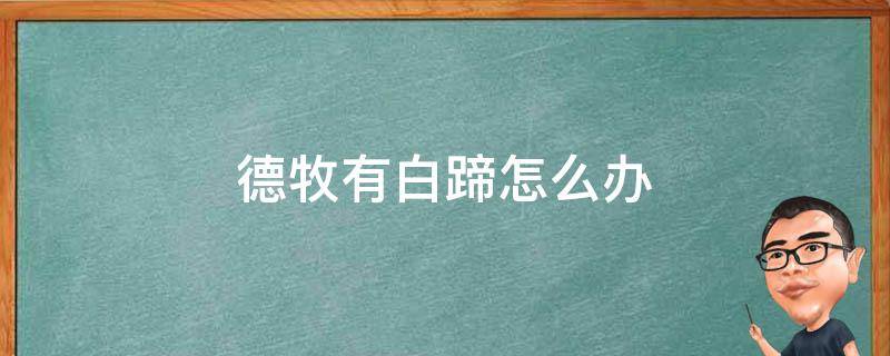 德牧有白蹄怎么办 德牧蹄子上有白毛