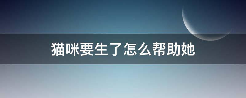 猫咪要生了怎么帮助她 猫咪准备生了怎么帮他