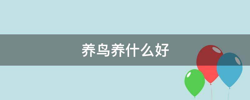 养鸟养什么好 家养鸟什么好养