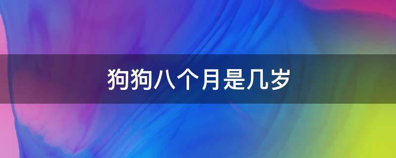 狗狗八个月是几岁（八个半月的狗狗是几岁）