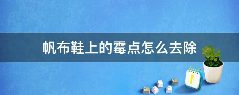 帆布鞋上的霉点怎么去除 帆布鞋子上的霉点怎么去除小窍门