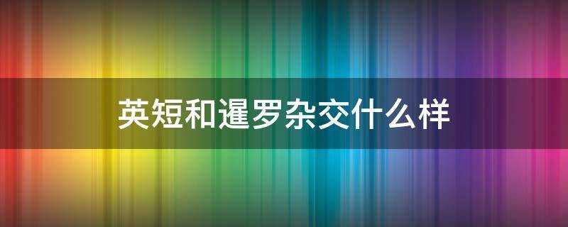 英短和暹罗杂交什么样 英短与暹罗的杂交