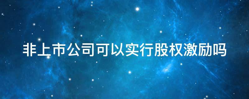 非上市公司可以实行股权激励吗（非上市公司可以实行股权激励吗对吗）