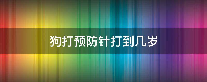 狗打预防针打到几岁 狗预防针多大可以打