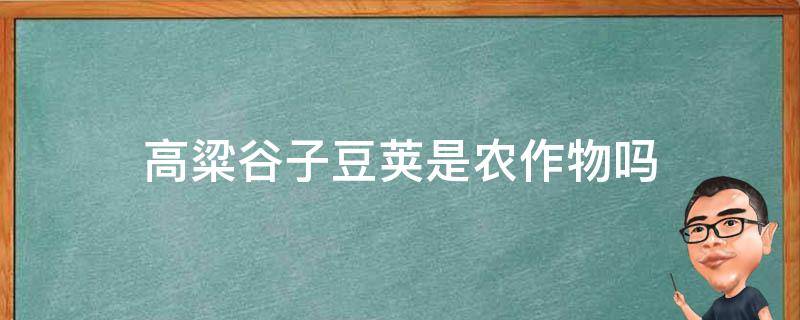高粱谷子豆荚是农作物吗 高粱是谷类作物吗