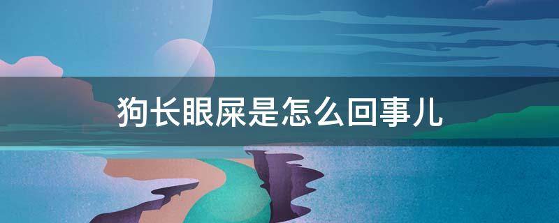 狗长眼屎是怎么回事儿 狗狗长眼屎是咋回事