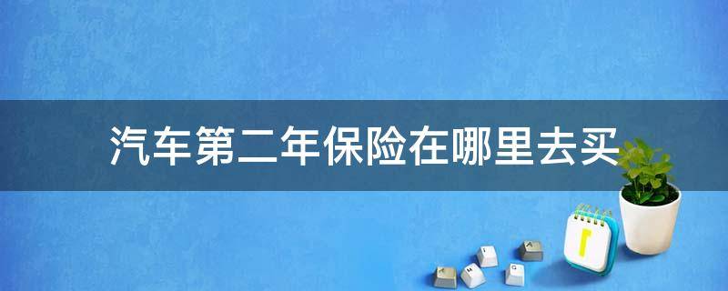 汽车第二年保险在哪里去买 新车第二年在哪里买保险
