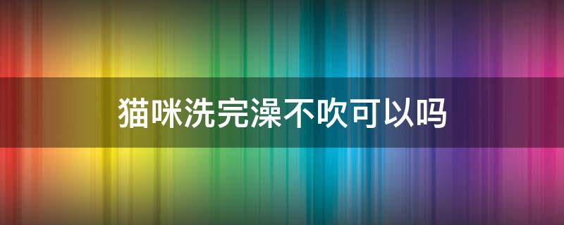 猫咪洗完澡不吹可以吗（给猫咪洗澡不吹可以吗）