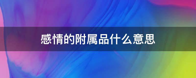 感情的附属品什么意思 附属品在感情上的意思文句