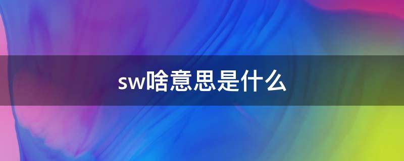 sw啥意思是什么 SW是什么意思的
